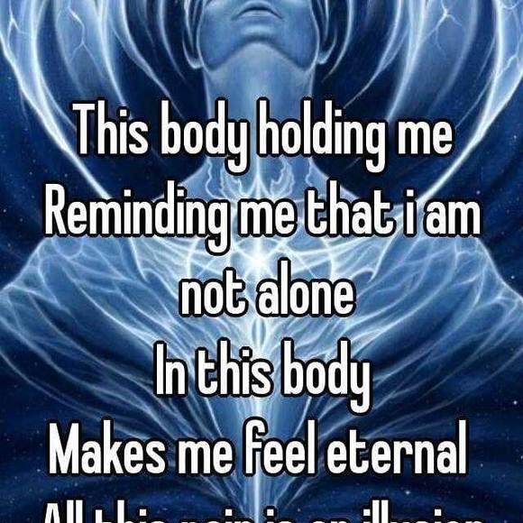 Meet your Posher, Daniel - Picture 1 of 1